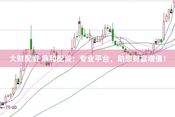 大财配资 鼎和配资：专业平台，助您财富增值！