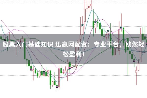 股票入门基础知识 迅赢网配资：专业平台，助您轻松盈利！