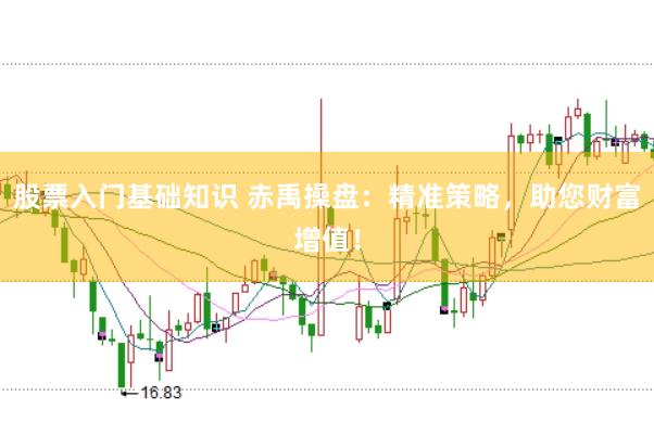 股票入门基础知识 赤禹操盘：精准策略，助您财富增值！