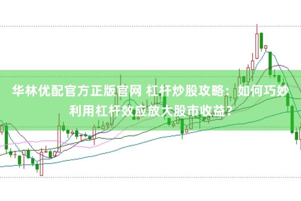 华林优配官方正版官网 杠杆炒股攻略：如何巧妙利用杠杆效应放大股市收益？