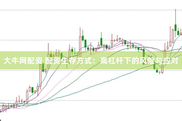 大牛网配资 配资生存方式：高杠杆下的风险与应对