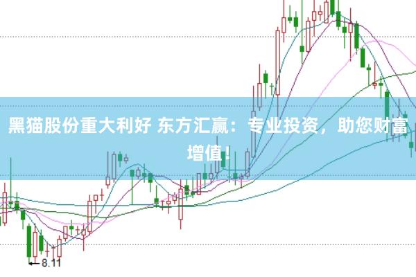 黑猫股份重大利好 东方汇赢：专业投资，助您财富增值！