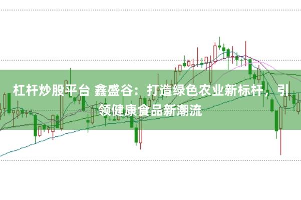 杠杆炒股平台 鑫盛谷：打造绿色农业新标杆，引领健康食品新潮流