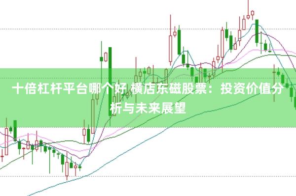 十倍杠杆平台哪个好 横店东磁股票：投资价值分析与未来展望