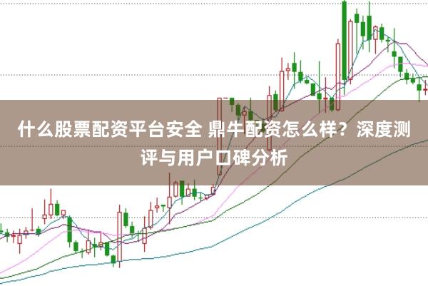 什么股票配资平台安全 鼎牛配资怎么样？深度测评与用户口碑分析