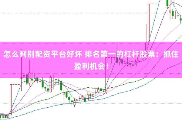 怎么判别配资平台好坏 排名第一的杠杆股票：抓住盈利机会！