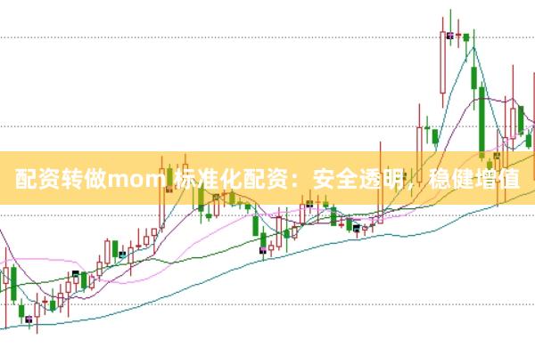 配资转做mom 标准化配资：安全透明，稳健增值