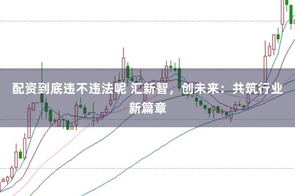 配资到底违不违法呢 汇新智，创未来：共筑行业新篇章