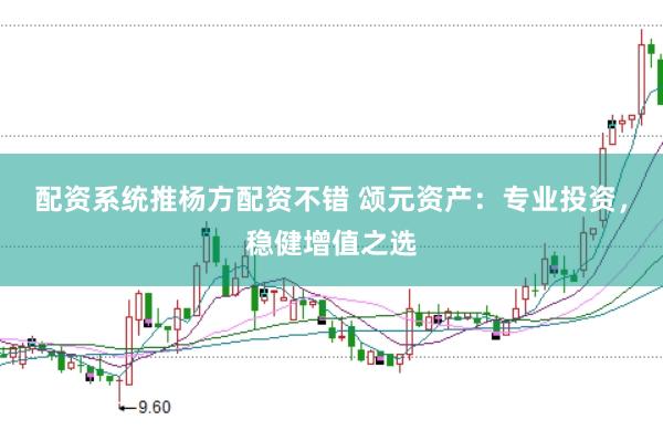 配资系统推杨方配资不错 颂元资产：专业投资，稳健增值之选