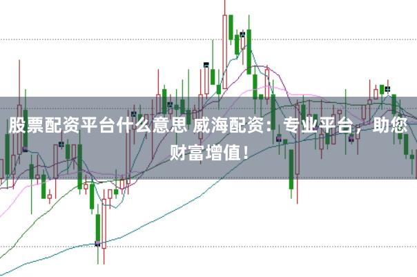 股票配资平台什么意思 威海配资：专业平台，助您财富增值！