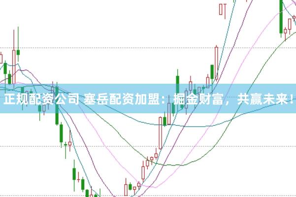 正规配资公司 塞岳配资加盟：掘金财富，共赢未来！