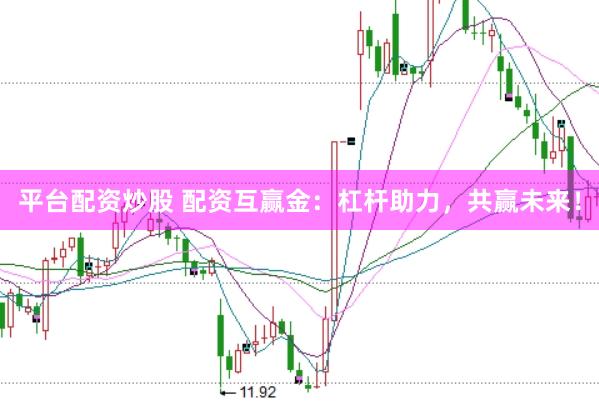 平台配资炒股 配资互赢金：杠杆助力，共赢未来！