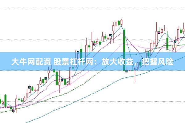 大牛网配资 股票杠杆网：放大收益，把握风险