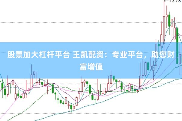 股票加大杠杆平台 王凯配资：专业平台，助您财富增值