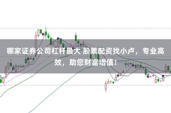 哪家证券公司杠杆最大 股票配资找小卢,专业高效,助您财富增值!