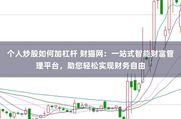 个人炒股如何加杠杆 财猫网:一站式智能财富管理平台,助您轻松实现财务自由