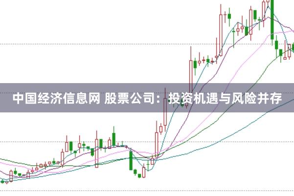 中国经济信息网 股票公司：投资机遇与风险并存